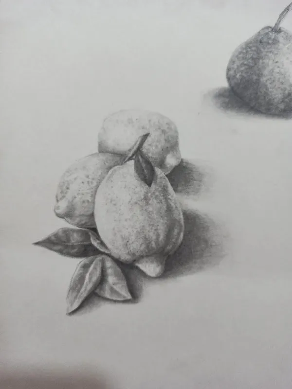 Art Quill Drawing classes
