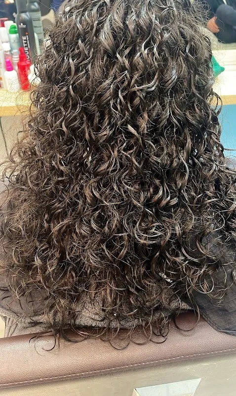 Hair Art Amsterdam
