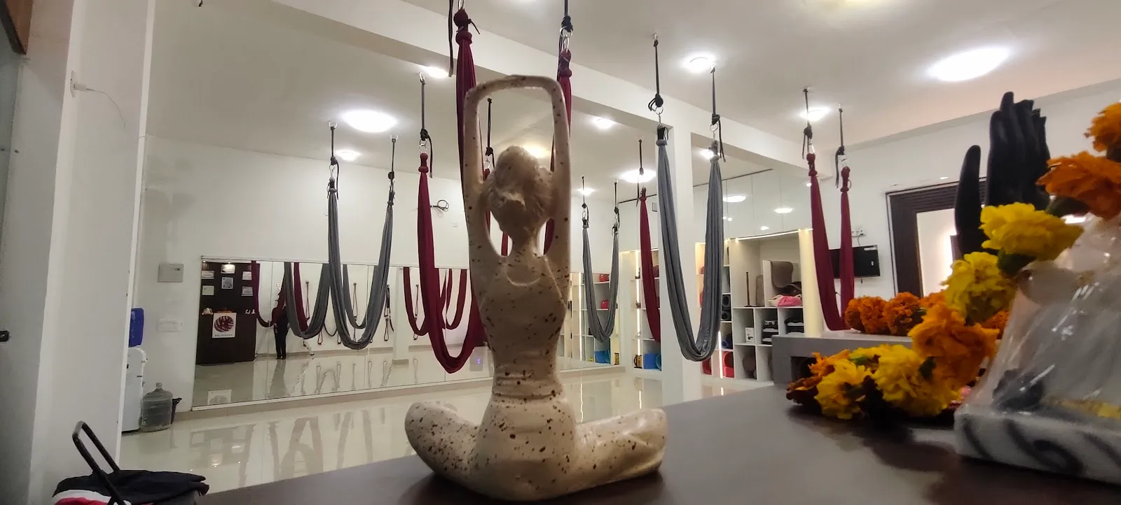YogiFlex- Yoga and Fitness Studio