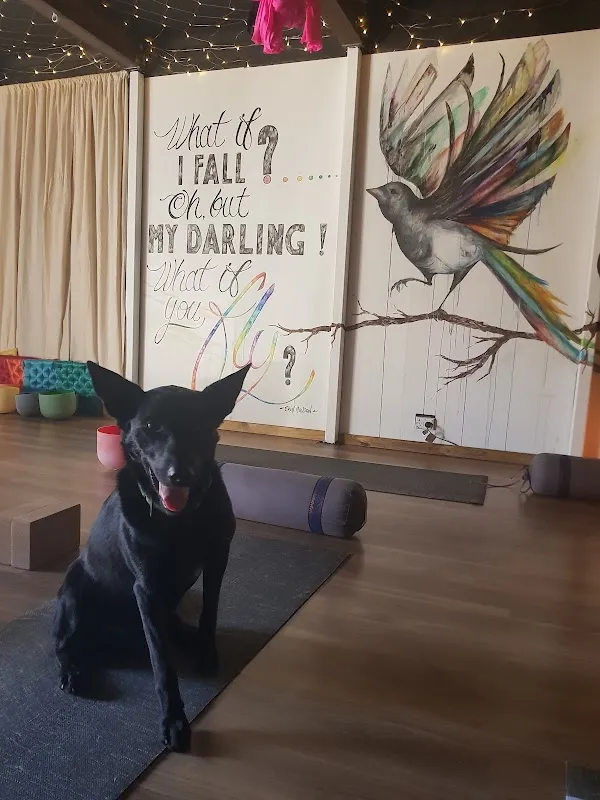 Peak Yoga