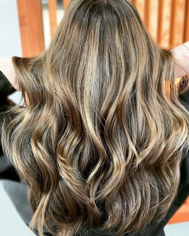 Salon Willow