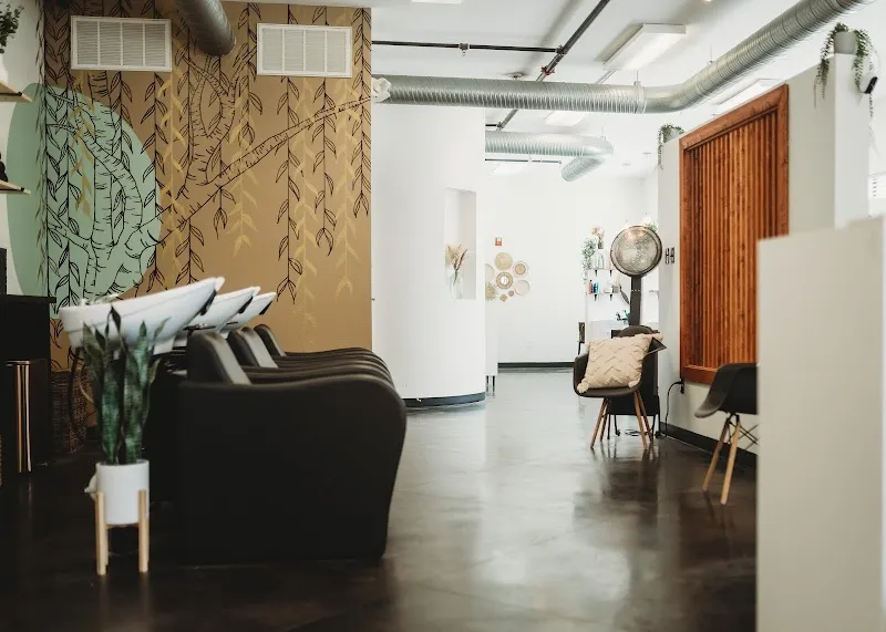 Salon Willow