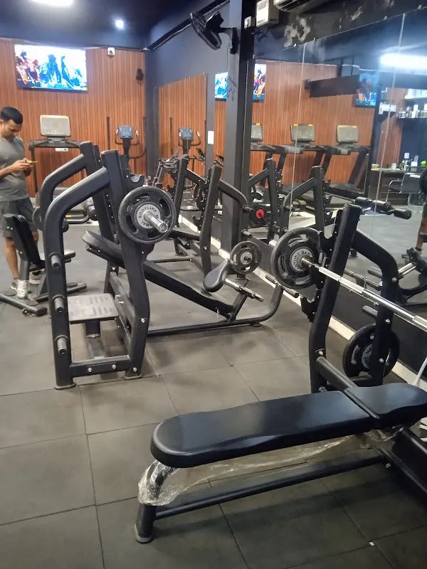 LVS Fitness House Unisex gym