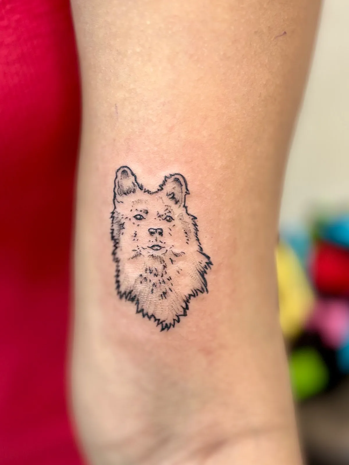 Dreamlife Arts Tattoo Studio Pune
