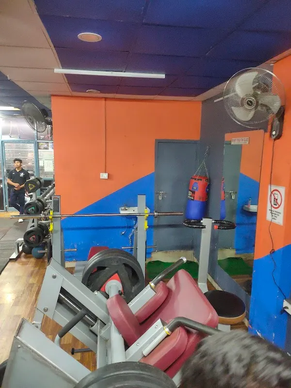 Wilson fitness gym