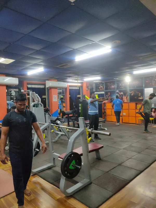 Wilson fitness gym