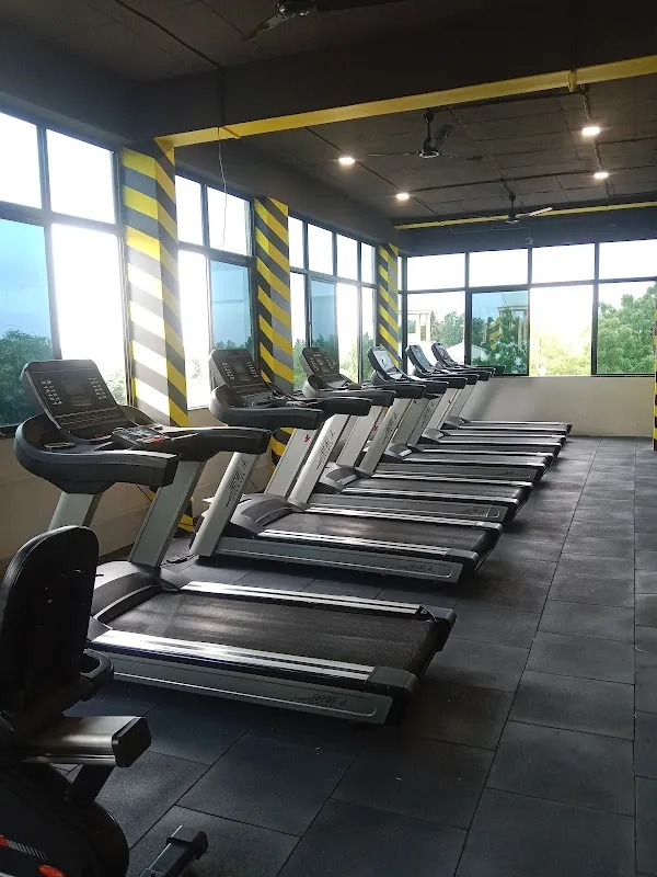 PhySC Gym