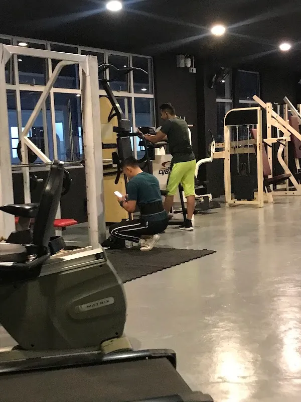 DFZ THE GYM