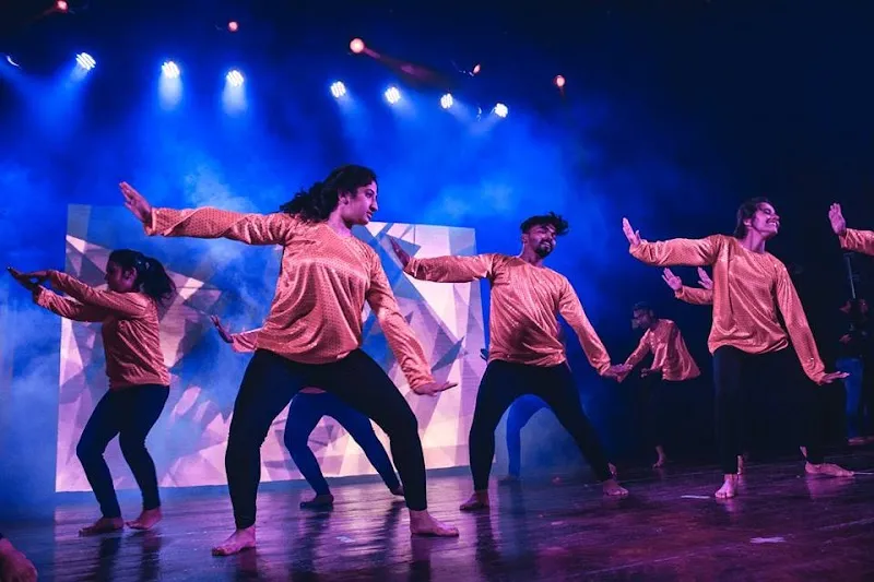Danzastars academy