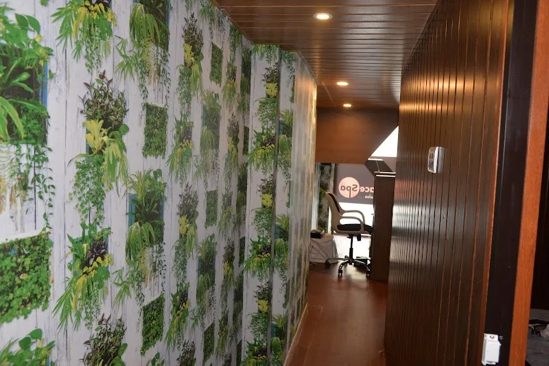 Peace Palace Spa