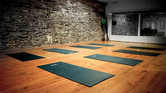 Studio Yoga Iyengar Nantes Severine Leroy