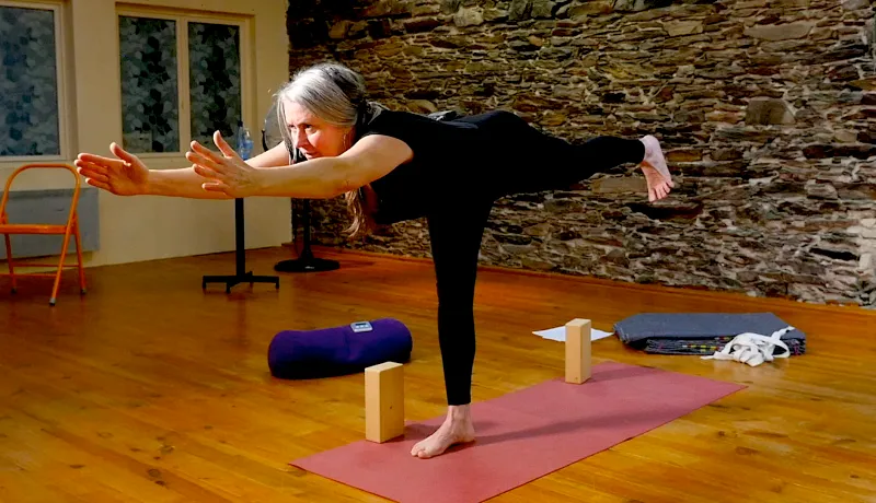 Studio Yoga Iyengar Nantes Severine Leroy