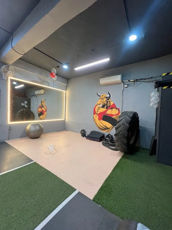 Bulls Gym