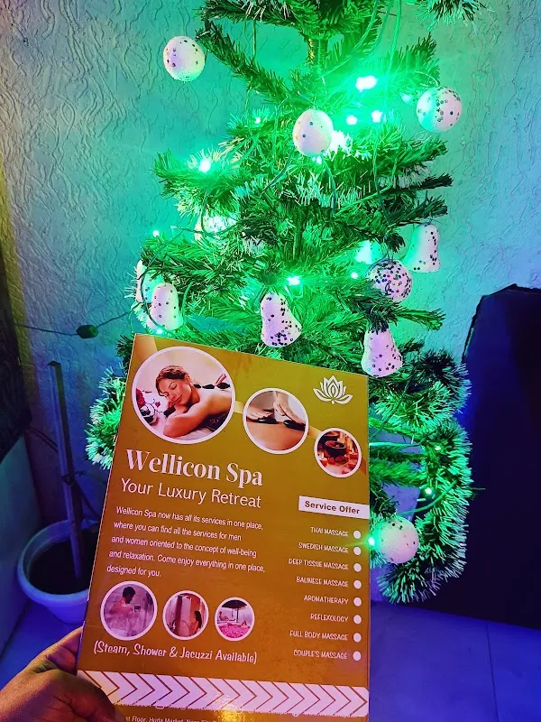 Wellicon Body Spa