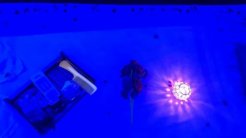 Wellicon Body Spa