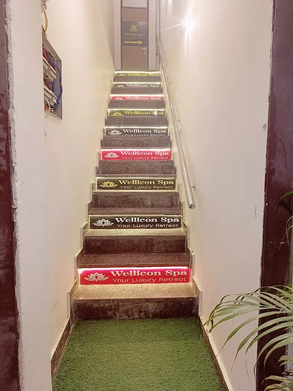 Wellicon Body Spa