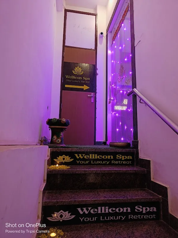 Wellicon Body Spa