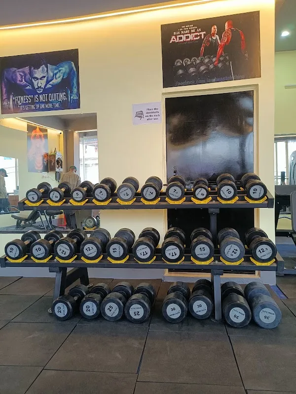 The Muscle Factory - Unisex gym