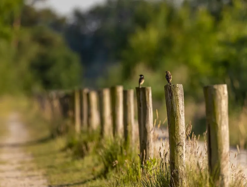 Pascal Vandecasteele Photography