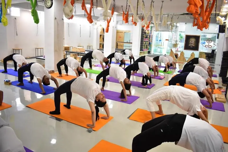 Ekam Yoga Prime - Best Yoga classes Jaipur