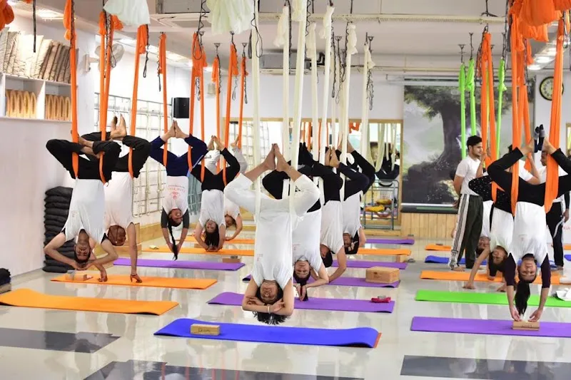 Ekam Yoga Prime - Best Yoga classes Jaipur