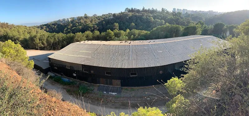 The Hangar Gym