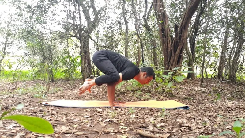 YogAbhyas YogStudio