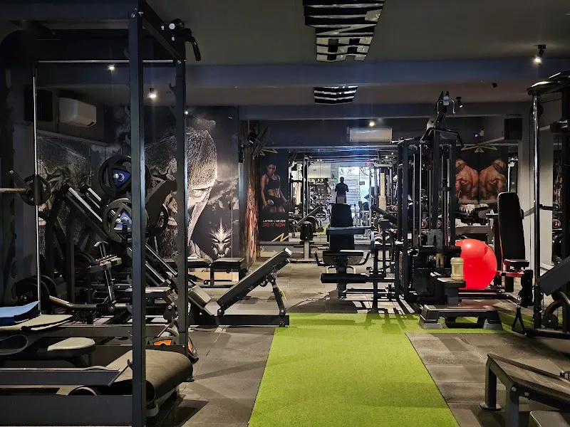 IRON HEAD FITNESS STUDIO 3.0