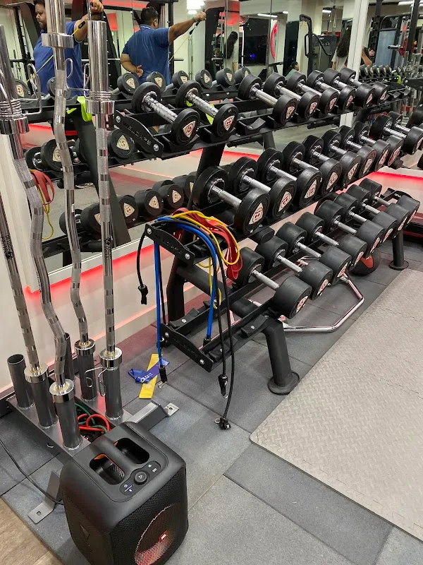 Project Fit