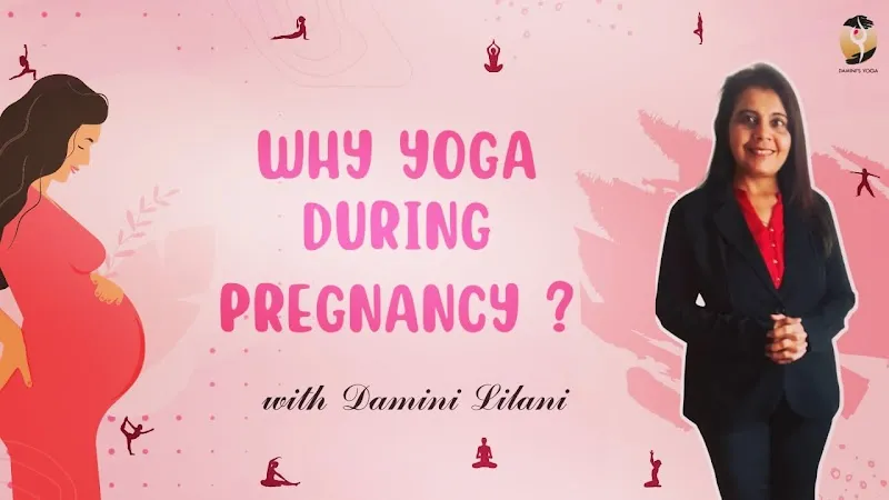 Damini's Yog Studio