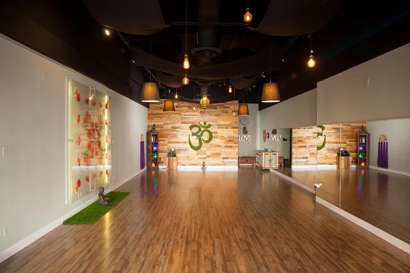 Damini's Yog Studio