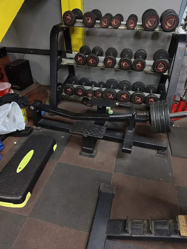 ENERGIE FITNESS (MULTI GYM)