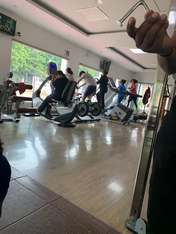 The Body Move Fitness