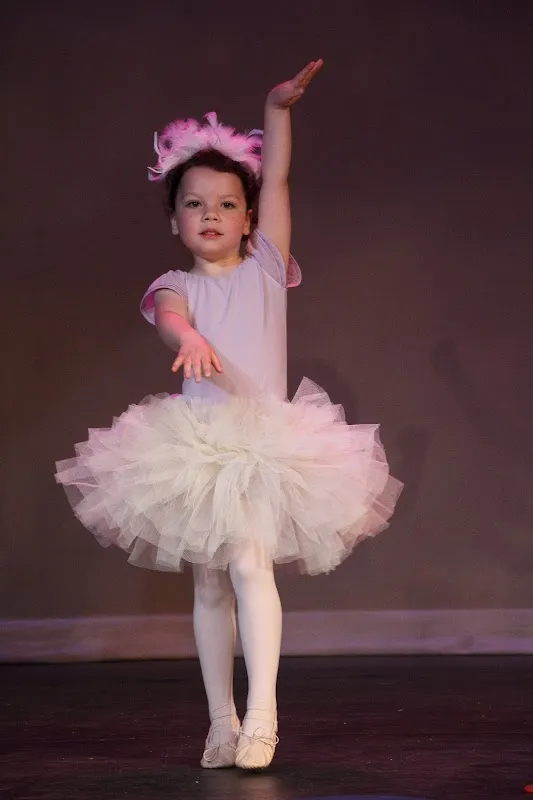 Bridge For Dance