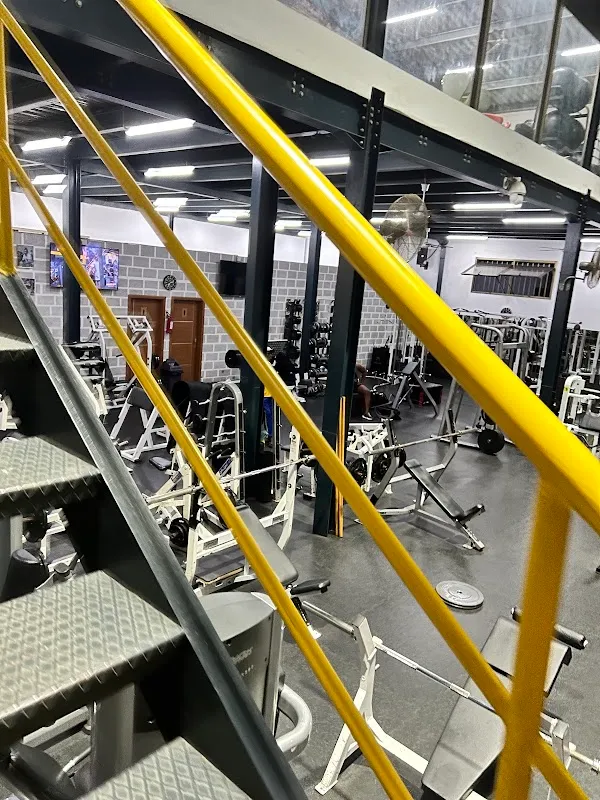 Fitzone Bénin