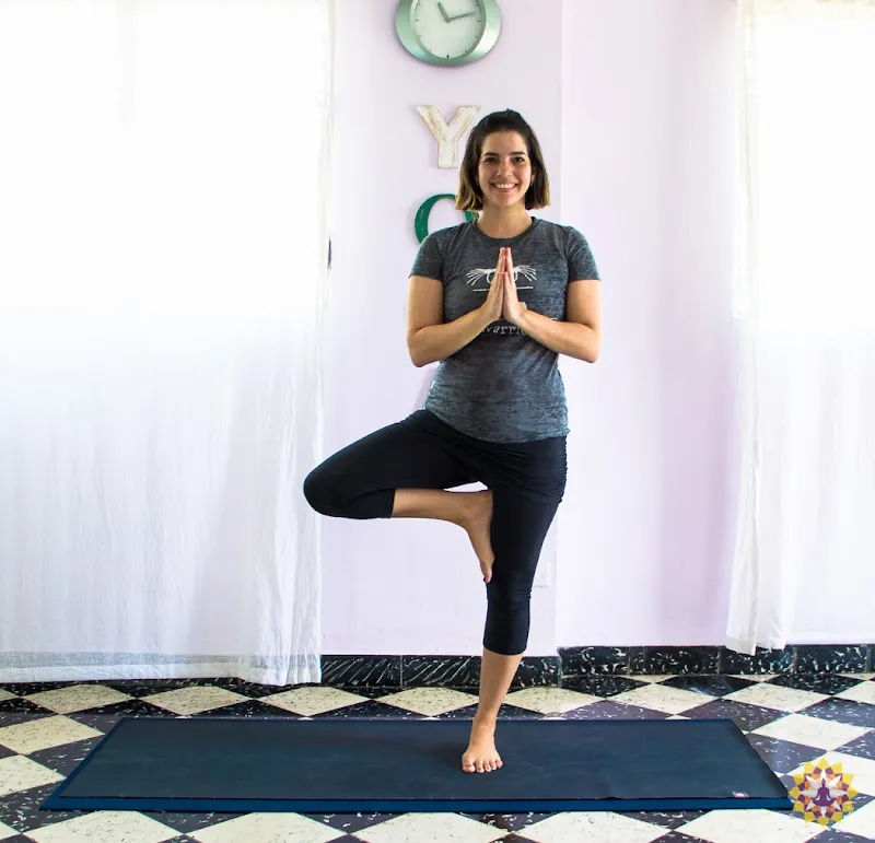 Yoga Vidya Santo Domingo