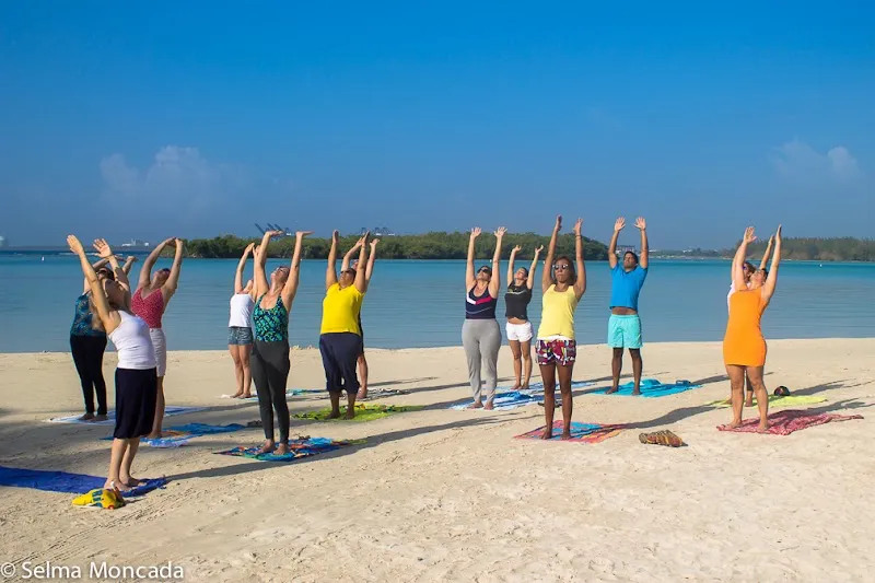 Yoga Vidya Santo Domingo