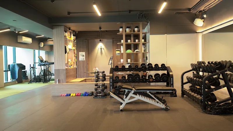 The Tribe Fitness Studio