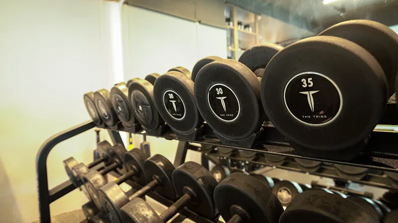 The Tribe Fitness Studio