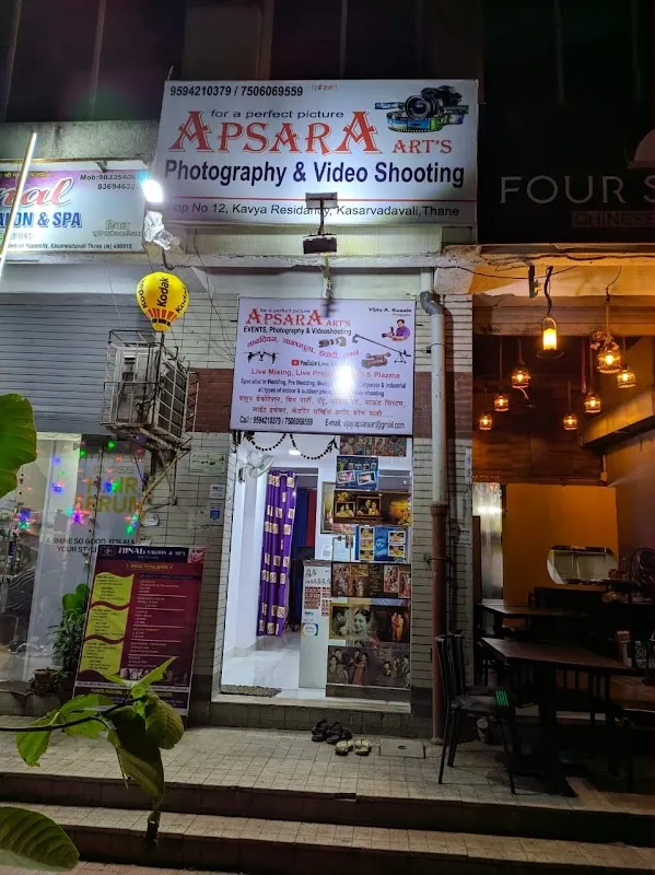 APSARA Art's (photos & video shooting) Photo Studio
