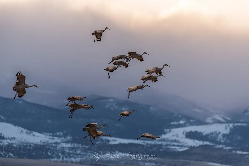 Kyle Burnett Photography