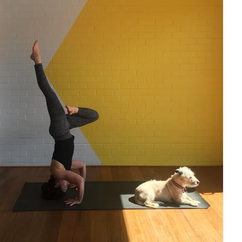 Yogahub Yoga Studio