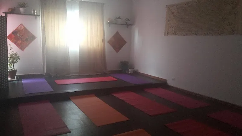 Alger Holistics Center Centre De Yoga