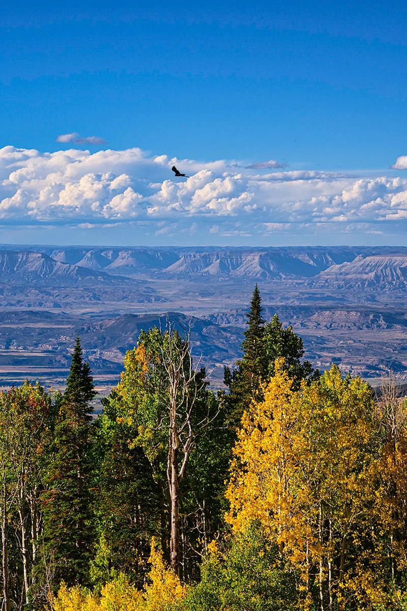 Heartland Photos & Design, Inc