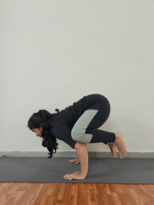 Shivananda Yoga Institute | Thane west | Yoga Teacher Training Course | Yoga At Home | Yoga course online/offline