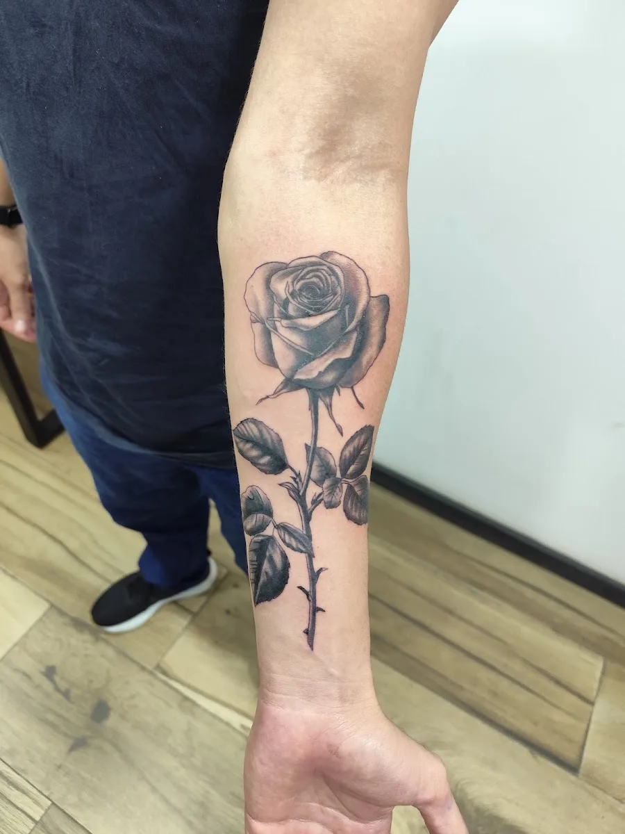 Smoke Dragon Tattoo and Piercing in Rio de Janeiro RJ Center