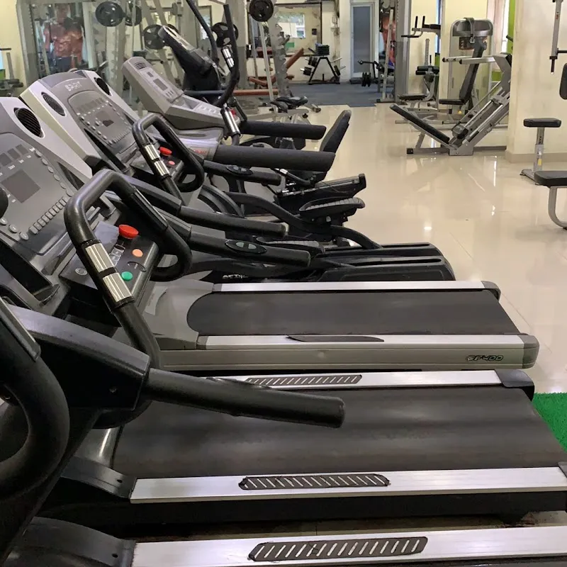 Green fitness gym