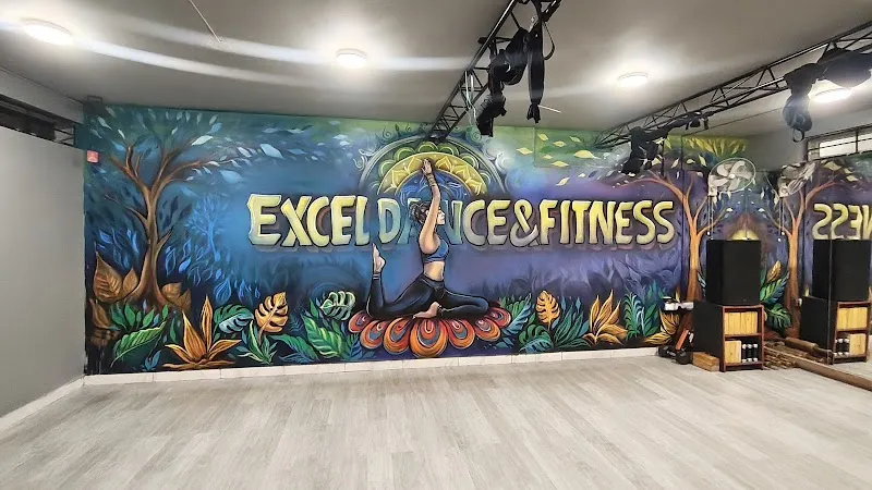 Excel Dance and Fitness Koramangala