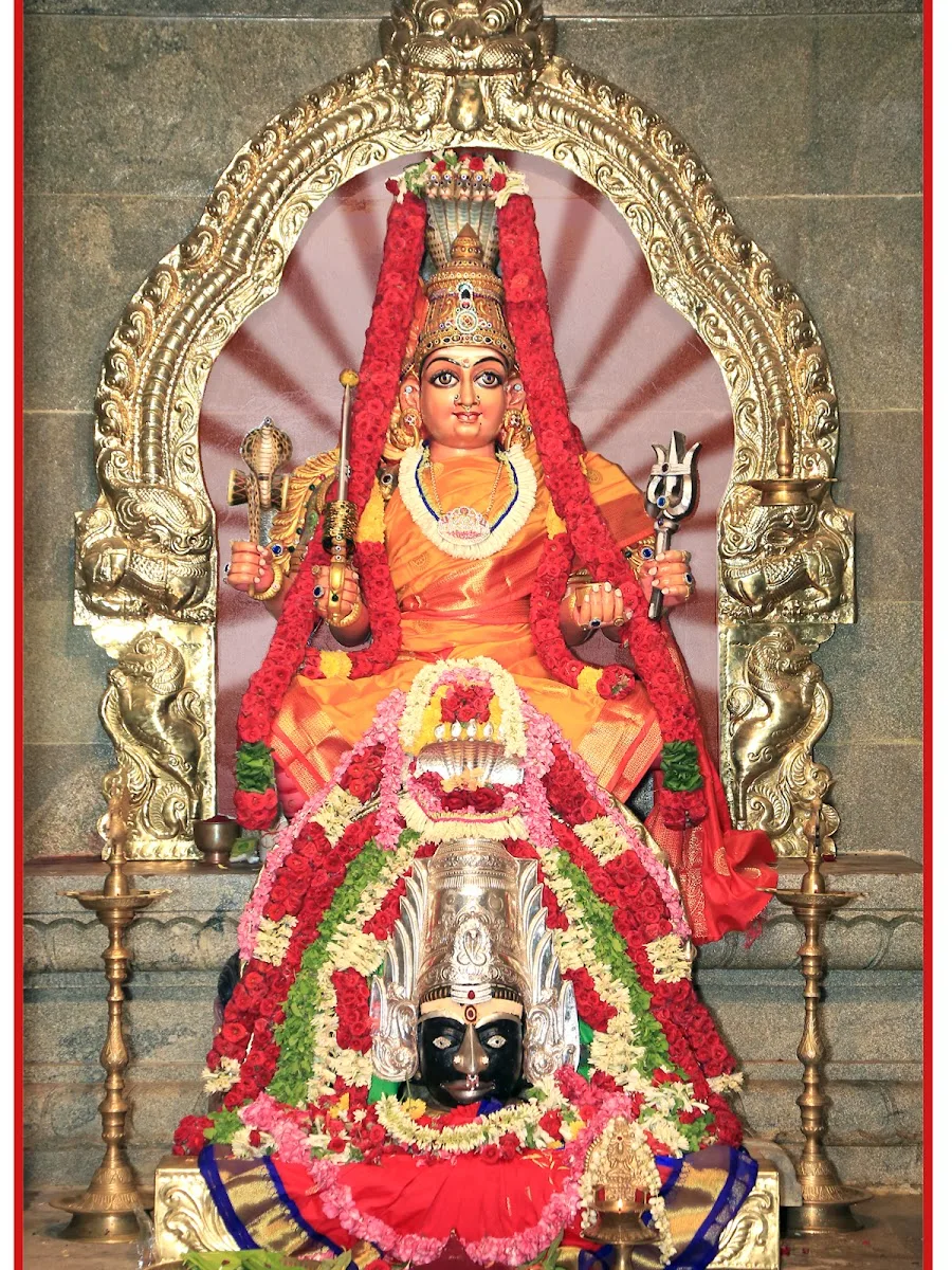 TAMIL PHOTO STUDIO