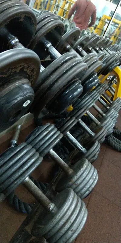 Flex hardcore gym ratnagiri